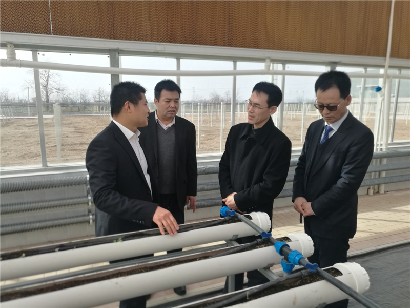 1552460217311054869.png 图片2_副本.png